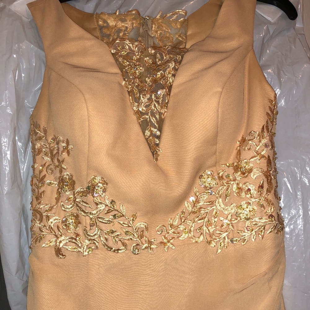 Formal Dress - Picture 2 of 4